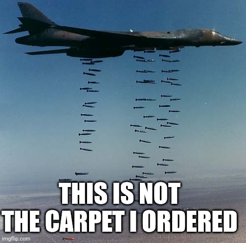 Carpet bombing Tora-bora | THIS IS NOT THE CARPET I ORDERED | image tagged in carpet bombing tora-bora | made w/ Imgflip meme maker