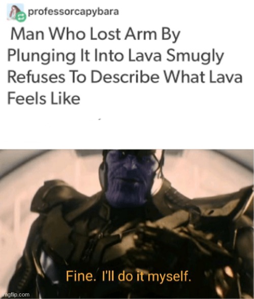 I wont describe what it feels like ether | image tagged in fine ill do it myself thanos | made w/ Imgflip meme maker