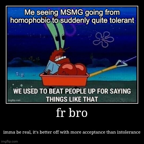 fr bro | imma be real, it's better off with more acceptance than intolerance | image tagged in funny,demotivationals | made w/ Imgflip demotivational maker