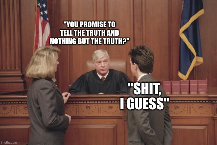 courtroom | "YOU PROMISE TO TELL THE TRUTH AND NOTHING BUT THE TRUTH?"; "SHIT, I GUESS" | image tagged in courtroom | made w/ Imgflip meme maker