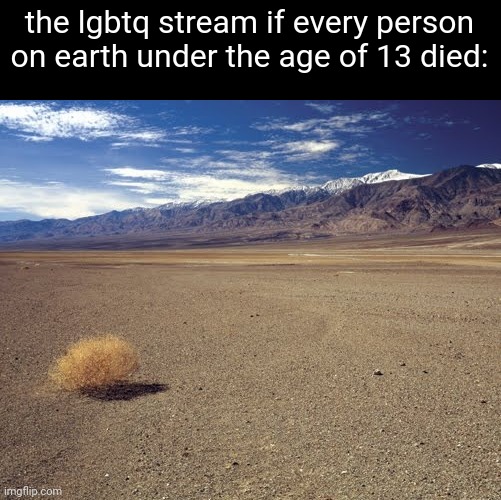 desert tumbleweed | the lgbtq stream if every person on earth under the age of 13 died: | image tagged in desert tumbleweed | made w/ Imgflip meme maker