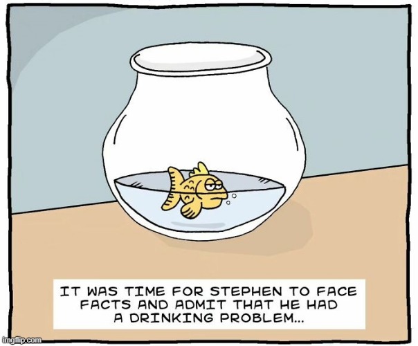 Drunk Fish | image tagged in comics | made w/ Imgflip meme maker