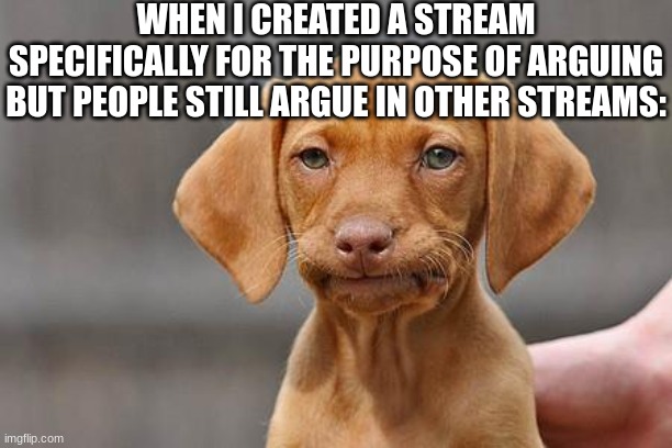 if yall are gonna start some shit at least have the decency to bring it to the arguements stream so other people don't have to b | WHEN I CREATED A STREAM SPECIFICALLY FOR THE PURPOSE OF ARGUING BUT PEOPLE STILL ARGUE IN OTHER STREAMS: | image tagged in dissapointed puppy,bruh | made w/ Imgflip meme maker