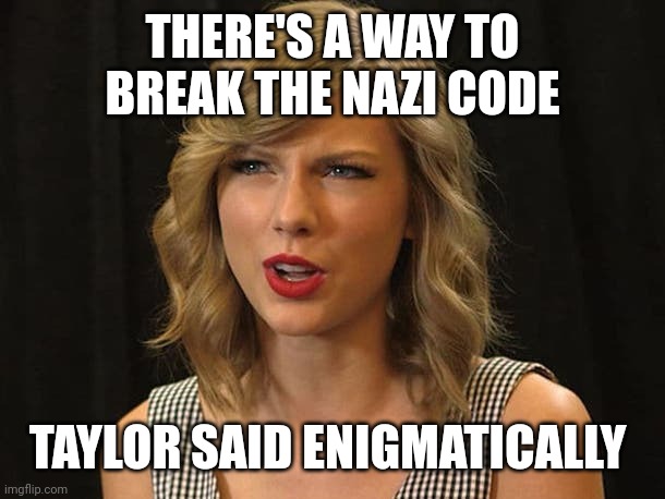 Taylor said enigmatically | THERE'S A WAY TO BREAK THE NAZI CODE; TAYLOR SAID ENIGMATICALLY | image tagged in taylor swiftie | made w/ Imgflip meme maker