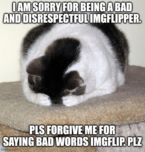 I an trulysorry for that one time | I AM SORRY FOR BEING A BAD AND DISRESPECTFUL IMGFLIPPER. PLS FORGIVE ME FOR SAYING BAD WORDS IMGFLIP. PLZ | image tagged in i am sorry world | made w/ Imgflip meme maker