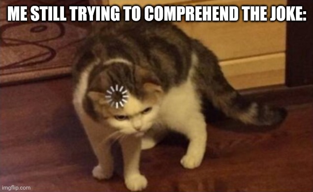 Dumb cat brain loading | ME STILL TRYING TO COMPREHEND THE JOKE: | image tagged in dumb cat brain loading | made w/ Imgflip meme maker