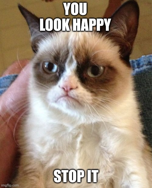 Grumpy Cat Meme | YOU LOOK HAPPY; STOP IT | image tagged in memes,grumpy cat | made w/ Imgflip meme maker