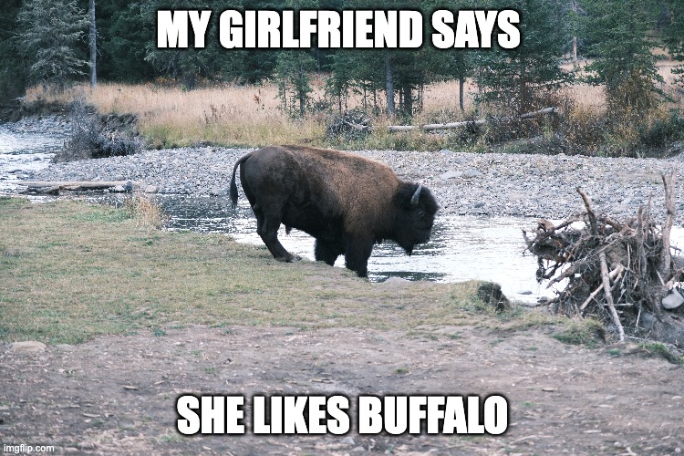 GF | MY GIRLFRIEND SAYS; SHE LIKES BUFFALO | image tagged in romane,love,funny | made w/ Imgflip meme maker