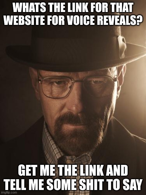 Walter White | WHATS THE LINK FOR THAT WEBSITE FOR VOICE REVEALS? GET ME THE LINK AND TELL ME SOME SHIT TO SAY | image tagged in walter white | made w/ Imgflip meme maker