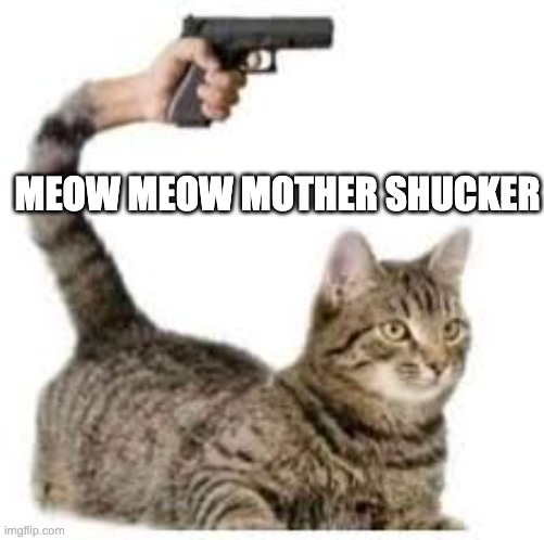Idk what this is | MEOW MEOW MOTHER SHUCKER | image tagged in meme,gato | made w/ Imgflip meme maker