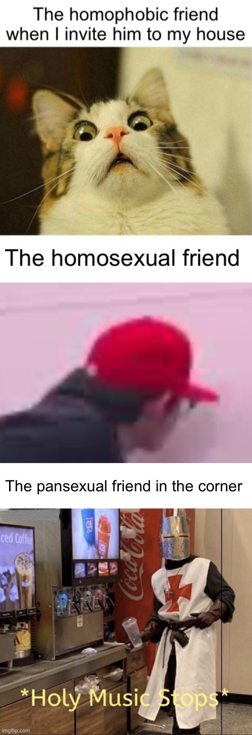 Dinner will be extra salty tonight | The pansexual friend in the corner | image tagged in holy music stops | made w/ Imgflip meme maker