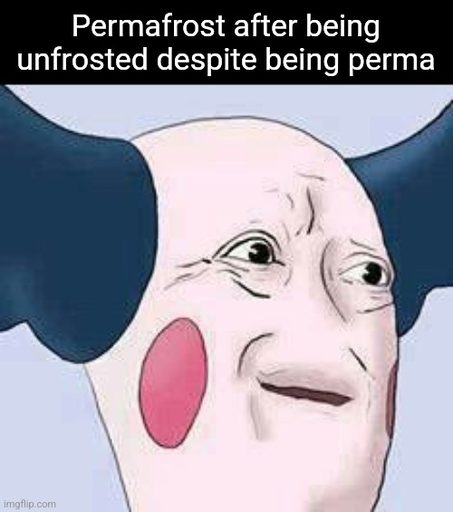 Not very perma | Permafrost after being unfrosted despite being perma | image tagged in confused mime | made w/ Imgflip meme maker