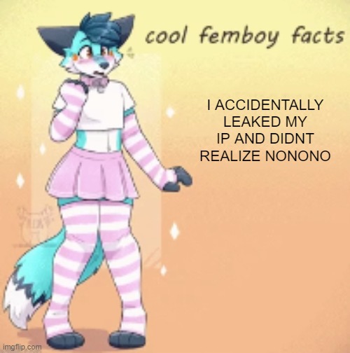 cool femboy facts | I ACCIDENTALLY LEAKED MY IP AND DIDNT REALIZE NONONO | image tagged in cool femboy facts | made w/ Imgflip meme maker