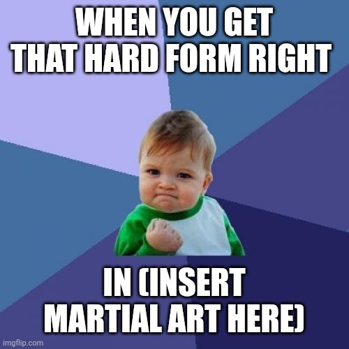 Success Kid | WHEN YOU GET THAT HARD FORM RIGHT; IN (INSERT MARTIAL ART HERE) | image tagged in memes,success kid | made w/ Imgflip meme maker
