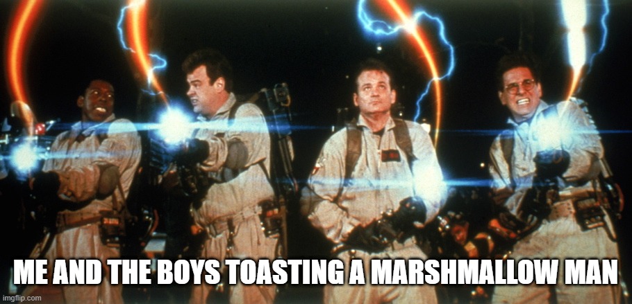 Who Ya Gonna Call? | ME AND THE BOYS TOASTING A MARSHMALLOW MAN | image tagged in ghostbusters crossing the streams | made w/ Imgflip meme maker
