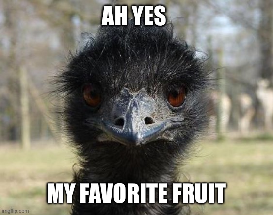 Bad News Emu | AH YES MY FAVORITE FRUIT | image tagged in bad news emu | made w/ Imgflip meme maker