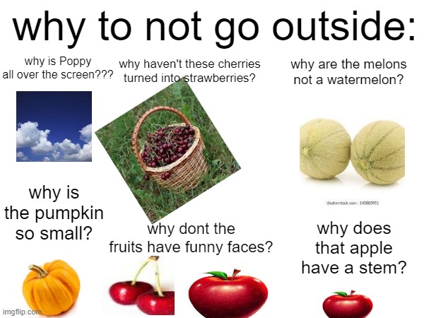 why to not go outside:; why is Poppy all over the screen??? why are the melons not a watermelon? why haven't these cherries turned into strawberries? why is the pumpkin so small? why does that apple have a stem? why dont the fruits have funny faces? | made w/ Imgflip meme maker