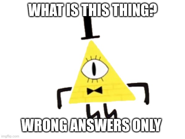 Wrong Answers Only | WHAT IS THIS THING? WRONG ANSWERS ONLY | image tagged in wrong answers only | made w/ Imgflip meme maker