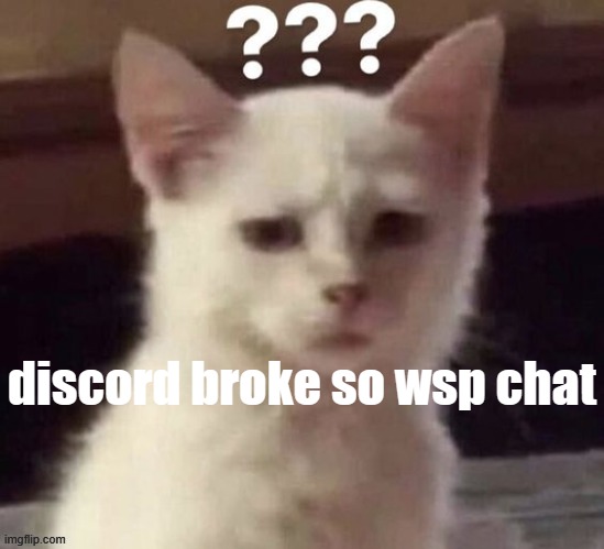 ? | discord broke so wsp chat | made w/ Imgflip meme maker