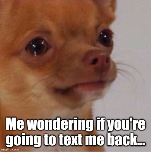 Wondering if you'll text me back | Me wondering if you're going to text me back... | image tagged in texting,waiting | made w/ Imgflip meme maker