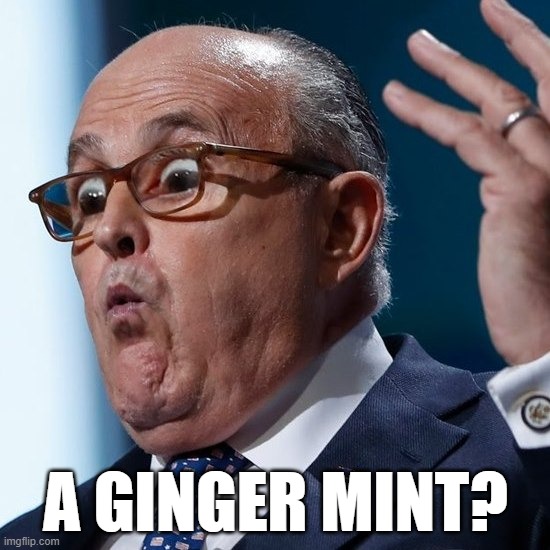 A GINGER MINT? | image tagged in lol so funny | made w/ Imgflip meme maker