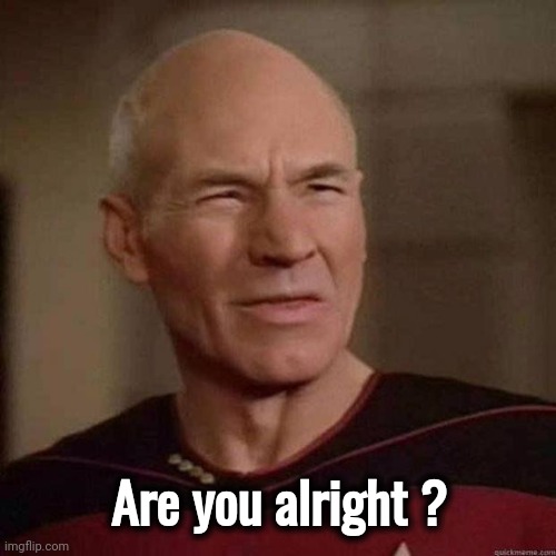Dafuq Picard | Are you alright ? | image tagged in dafuq picard | made w/ Imgflip meme maker