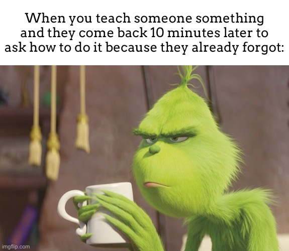“STOP ASKING ME BRO. IM NOT IN THE MOOD OF EXPLAINING THE SAME THING OVER AND OVER!” | When you teach someone something and they come back 10 minutes later to ask how to do it because they already forgot: | image tagged in grinch coffee,meme,friends,annoying | made w/ Imgflip meme maker
