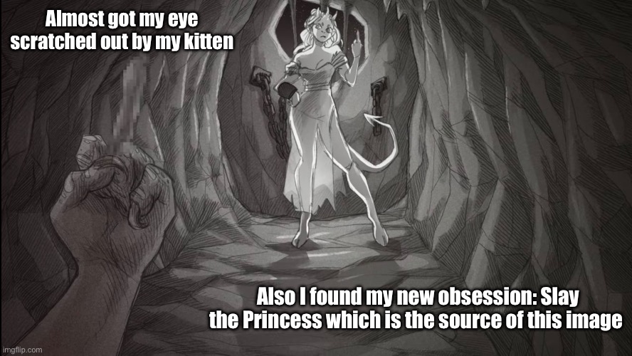 Now I have a scratch under my eye, I'm glad it's not bleeding (also to make this image on topic some of my ocs are based on Slay | Almost got my eye scratched out by my kitten; Also I found my new obsession: Slay the Princess which is the source of this image | made w/ Imgflip meme maker