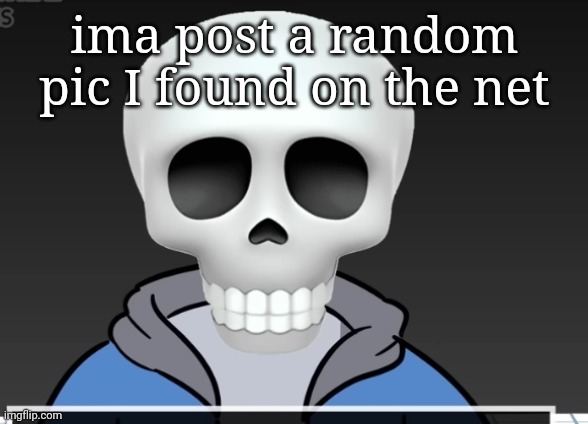 sans | ima post a random pic I found on the net | image tagged in sans | made w/ Imgflip meme maker