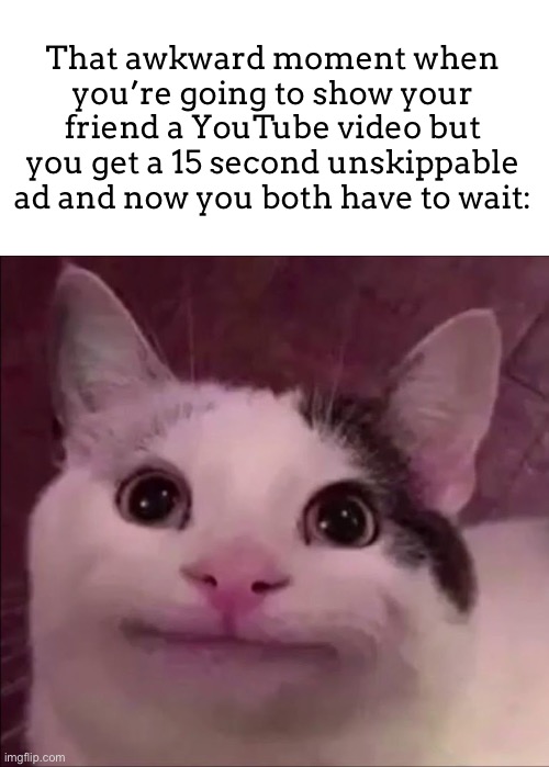 So awkward… | That awkward moment when you’re going to show your friend a YouTube video but you get a 15 second unskippable ad and now you both have to wait: | image tagged in awkward smile cat | made w/ Imgflip meme maker