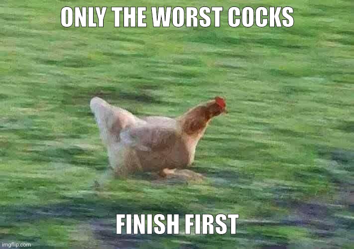 Running Chicken | ONLY THE WORST COCKS; FINISH FIRST | image tagged in running chicken | made w/ Imgflip meme maker