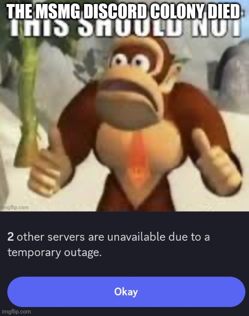 THE MSMG DISCORD COLONY DIED | image tagged in this should not,discord,msmg | made w/ Imgflip meme maker