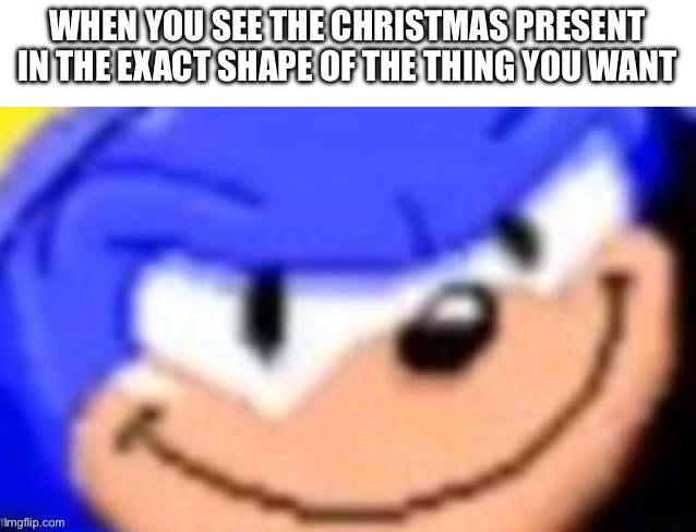 What could that be | WHEN YOU SEE THE CHRISTMAS PRESENT IN THE EXACT SHAPE OF THE THING YOU WANT | image tagged in sonic smile,sonic the hedgehog,christmas | made w/ Imgflip meme maker
