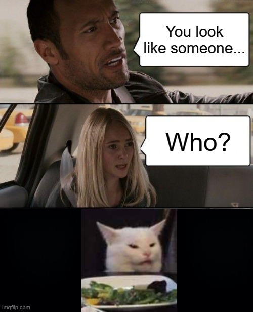 She indeed looks like that cat. | You look like someone... Who? | image tagged in memes,the rock driving | made w/ Imgflip meme maker