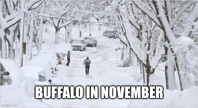 blizzard | BUFFALO IN NOVEMBER | image tagged in blizzard | made w/ Imgflip meme maker