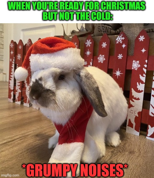 BUNNY IS READY FOR CHRISTMAS TO BE OVER | WHEN YOU'RE READY FOR CHRISTMAS
 BUT NOT THE COLD:; *GRUMPY NOISES* | image tagged in bunnies,bunny,christmas | made w/ Imgflip meme maker