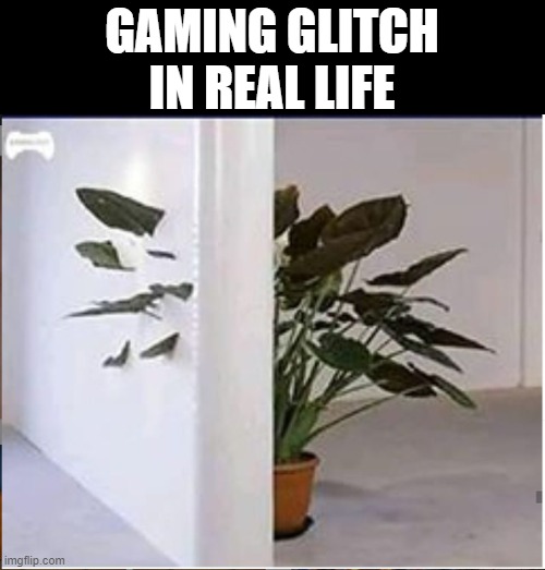 gaming glitch in real life | GAMING GLITCH IN REAL LIFE | image tagged in gaming | made w/ Imgflip meme maker