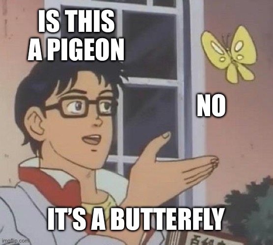 One of my first not cubing memes | IS THIS A PIGEON; NO; IT’S A BUTTERFLY | image tagged in memes,is this a pigeon | made w/ Imgflip meme maker