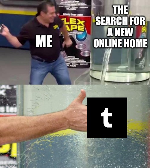 Flex Tape | THE SEARCH FOR A NEW ONLINE HOME; ME | image tagged in flex tape,tumblr,relatable memes,shitpost,relatable,memes | made w/ Imgflip meme maker