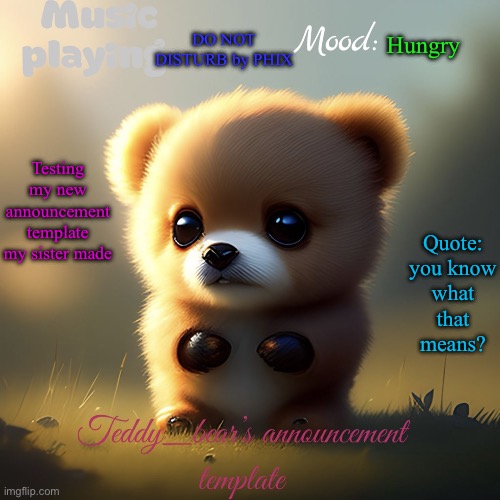 Read the quote ;) | DO NOT DISTURB by PHIX; Hungry; Quote: you know what that means? Testing my new announcement template my sister made | image tagged in teddy_bear s announcement template | made w/ Imgflip meme maker