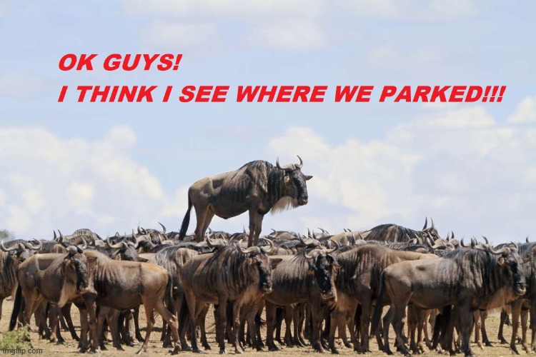 Crowded Parking Lot | image tagged in parking lot | made w/ Imgflip meme maker