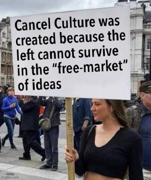 The reason the left created the cancel culture | image tagged in the reason the left created the cancel culture | made w/ Imgflip meme maker