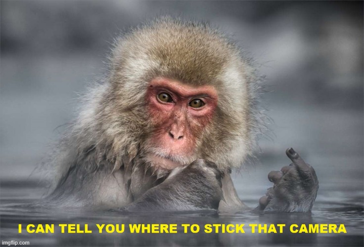 RUDE MONKEY | image tagged in middle finger | made w/ Imgflip meme maker