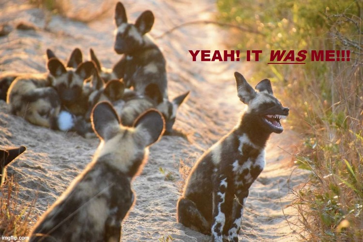 Why the Hyena Laughs | image tagged in fart jokes | made w/ Imgflip meme maker