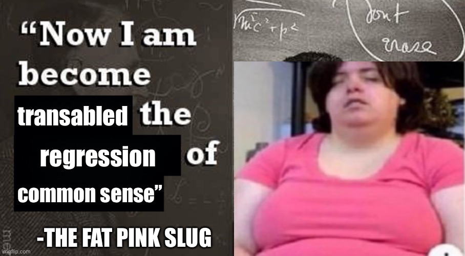 Now I am become Death, the destroyer of worlds. | transabled regression common sense” -THE FAT PINK SLUG | image tagged in now i am become death the destroyer of worlds | made w/ Imgflip meme maker