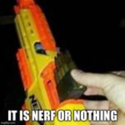 Nerf or Nothing | image tagged in nerf or nothing | made w/ Imgflip meme maker