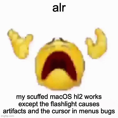 :nooo: | alr; my scuffed macOS hl2 works except the flashlight causes artifacts and the cursor in menus bugs | image tagged in nooo | made w/ Imgflip meme maker