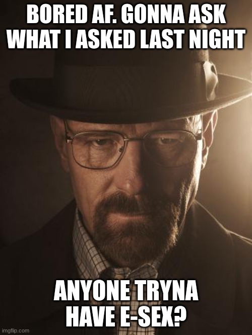 Walter White | BORED AF. GONNA ASK WHAT I ASKED LAST NIGHT; ANYONE TRYNA HAVE E-SEX? | image tagged in walter white | made w/ Imgflip meme maker
