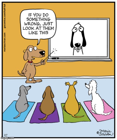 image tagged in memes,comics/cartoons,dogs,teacher,puppy,eyes | made w/ Imgflip meme maker