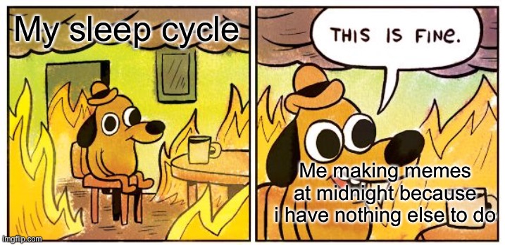 This Is Fine | My sleep cycle; Me making memes at midnight because i have nothing else to do | image tagged in memes,this is fine | made w/ Imgflip meme maker